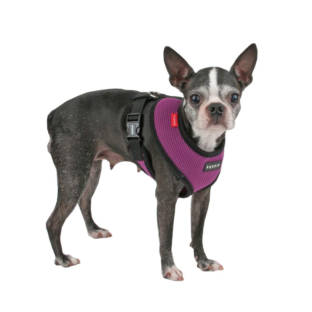Puppia Soft Dog Harness No Choke Over-The-Head Triple Layered Breathable Mesh Adjustable Chest Belt and Quick-Release Buckle, Purple, XX-Large