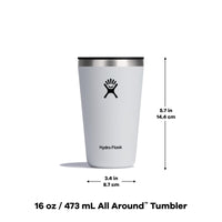 Hydro Flask All Around Stainless Steel Tumbler with Lid and Double-Wall Vacuum Insulation Agave 16 Oz