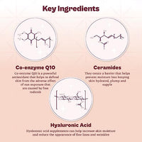 Typsy Beauty Hustle & Grind Setting Powder I Vanilla Latte I Unique In-built Powderizer for Zero Waste & Spilling I Packed with Hayalauronic Acid & Ceramides I Translucent Shade I Paraben Free | 4.5g