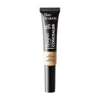 Blue Heaven Flawless Makeup Base Primer, 30g & Blue Heaven Flawless liquid Concealer, 201, Cream, 16gm