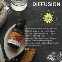 Soulflower Cinnamon Essential Oil for Skin Care, Hair Care, Hydrating | 100% Pure, Natural, Undiluted Cinnamon Essential Oil 15ml