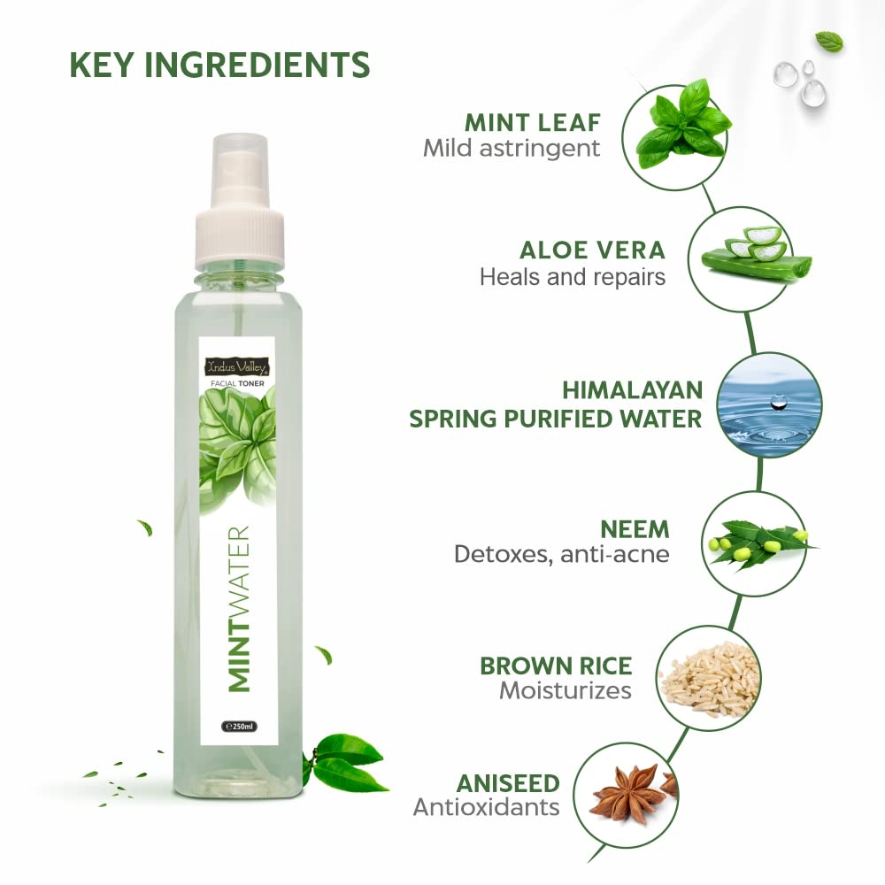 INDUS VALLEY Natural Mint Water Facial Toner - Chemical Free - 250 ml