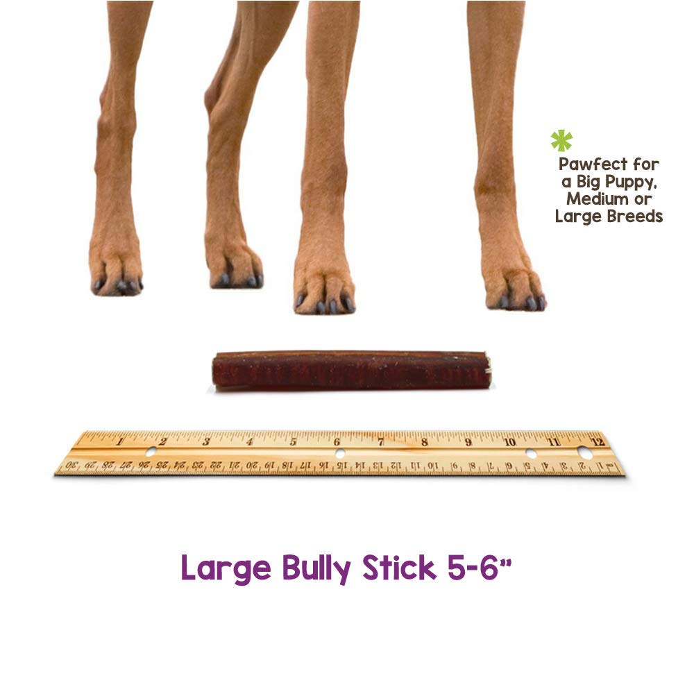 Nature Gnaws Bully Sticks for Dogs - Premium Natural Beef Dental Bones - Long Lasting Dog Chew Treats for Aggressive Chewers - Rawhide Free - 5-6 Inch