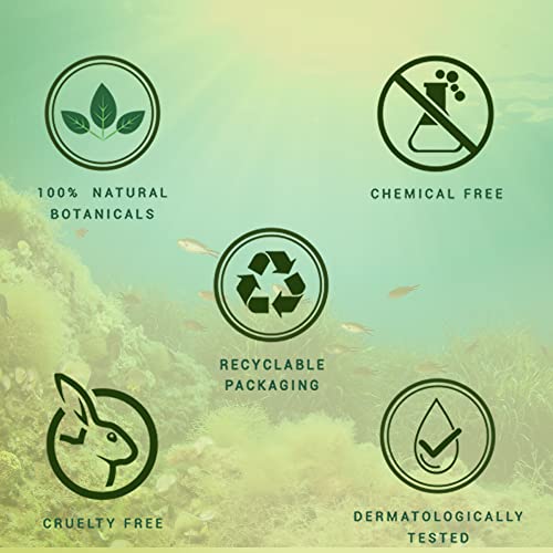 Biotique Seaweed Revitalizing Anti Fatigue Eye Gel | Contains Wild Seaweed, Nutmeg, & Honey | Reduces Dark Circle and Puffiness | Suitable for All Skin Types | 15gm