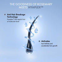 ThriveCo Rosemary Hair Shampoo For Voluminous Hair | Densifying & Stimulating Hair Growth | Promotes Hair Strength With Hyaplex™, Pea Peptide & Caffeine for Men & Women (250 ml)