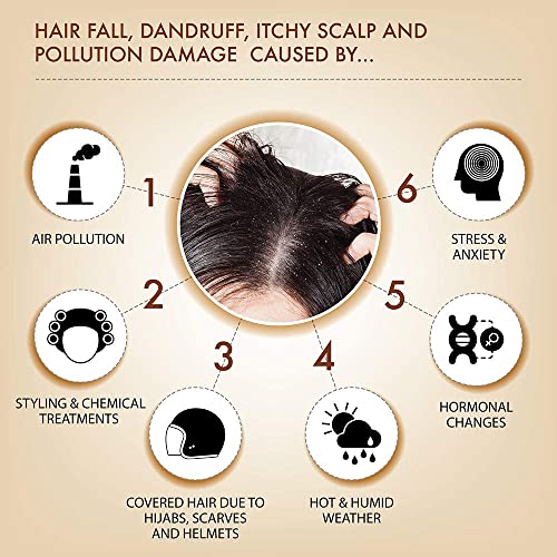 Iba Black Seed Therapy Shampoo, Conditioner, Hair Oil Combo (230 ml + 125 ml + 240 ml) | Kalonji For Hair Fall, Dandruff, Itchy Scalp | No Sulfate No Paraben | Halal Certified & Vegan