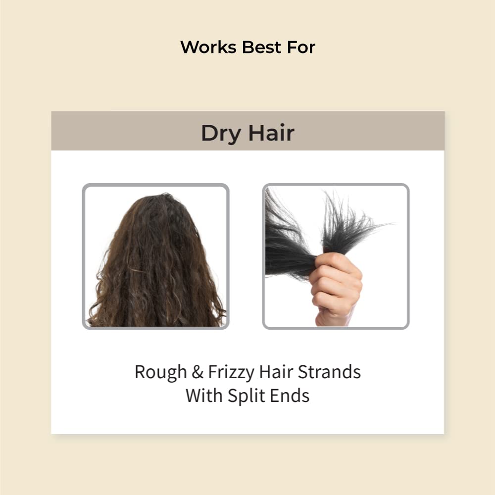 Vedix Shampoo and Conditioner Combo| Vikleda Shampoo For Dry Hair + No Frizz Hair Conditioner | Ayurvedic Shampoo & Conditioner | 100 ml + 100 ml