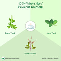 A TATA Product - Organic India Tulsi Original - 25 Tea Bags, Caffeine-Free Herbal Tea with Tulsi, Natural Detoxifier, Rich in Antioxidants, Convenient Staple-Free Bag