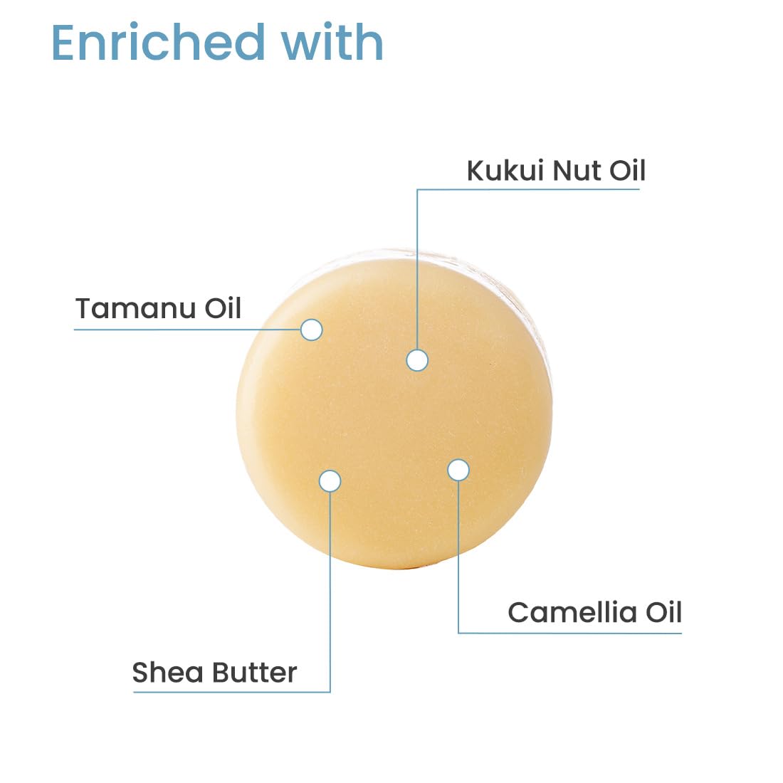 Earth Rhythm Organic Hair Conditioner For Frizz, Dryness, Splitends | Tamanu Oil & Shea Butter| Men & Women | Sulphate And Paraben Free | Cardboard Box- 80G, 1 Count