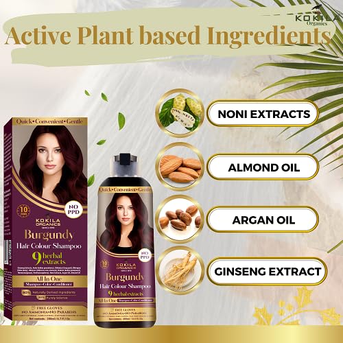 Kokila NO PPD Shampoo Hair Colour - Burgundy 400ml for Women and Men | Natural Extracts | Colours Hair in 10 Minutes | Ammonia Free, Paraben Free - 10 Pair Free Gloves