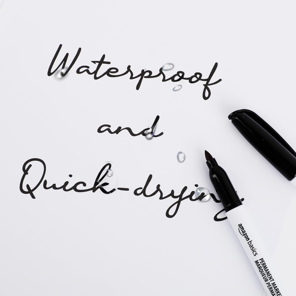 Basics Fine Point Tip Permanent Markers, Black, 24-Pack 1 Count (Pack of 24)