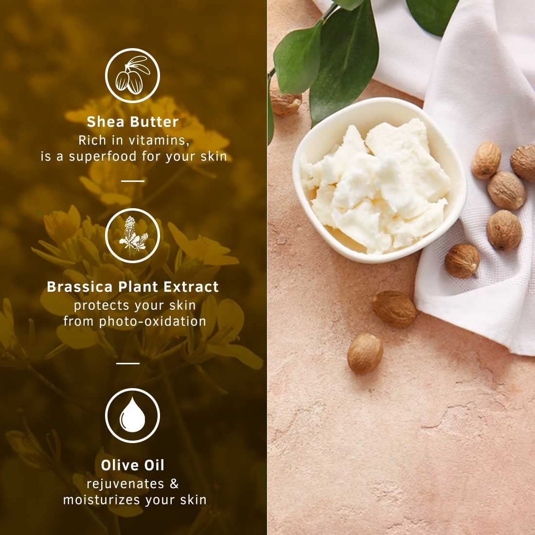 Ustraa Moisturising Cream - Oily Skin - 100g x 2 | Long-lasting moisturization & Hydration | Quick Absorption | with Shea Butter | No Parabens, No Mineral Oils.