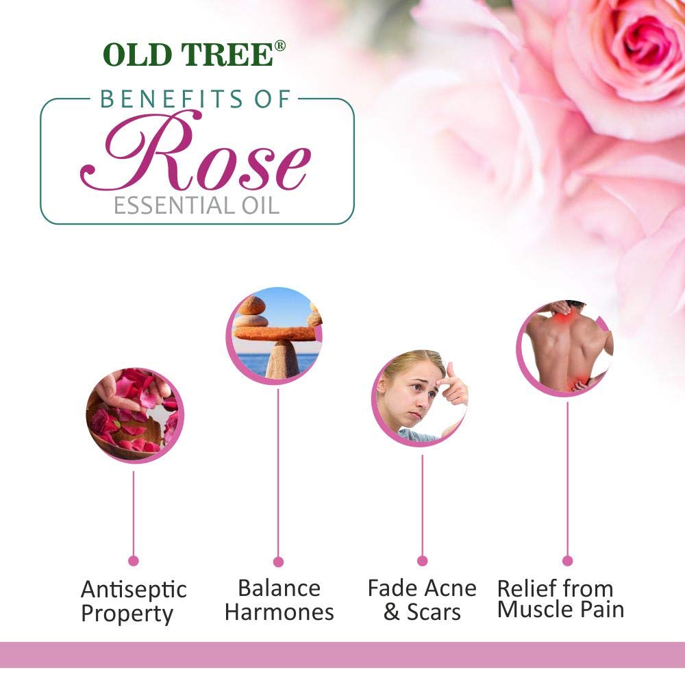 Old Tree Rose Essential Oil for Hair Growth for Women & Men (15ml) - Pure and Natural Oil with Dropper for Skin, Body, Diffuser, Aroma Therapy & Relaxation