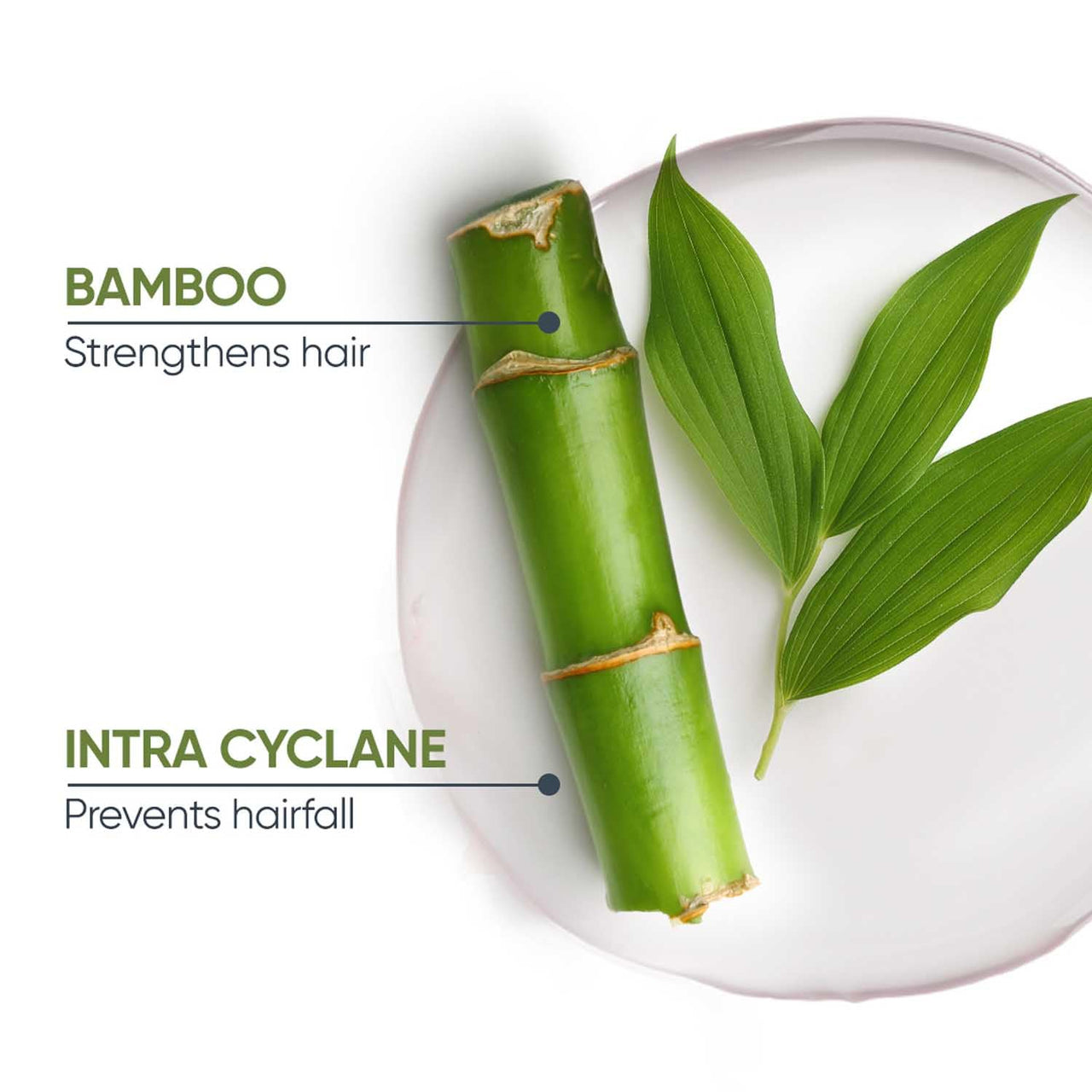 Biolage Professional Fiberstrong Anti-Breakage Shampoo, 95% less breakage & Reduces Hairfall, Makes Hair 12x Stronger by Reinforcing Strength & Elasticity, With Bamboo, Vegan & Cruelty-Free, 200ml