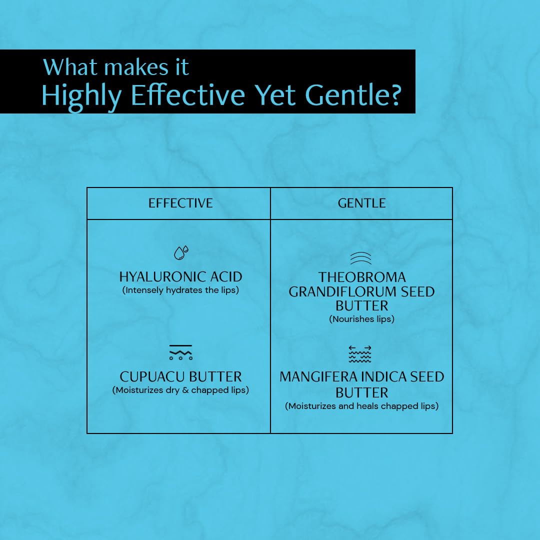 Deconstruct Hyaluronic Acid Lip Balm With 1% Cupuacu Butter | For Fuller lips, Dry Lips, Reduces Flakiness | Protects & Nourishes Dry Chapped Lips | Lip Balm For Women & Men | 4gm
