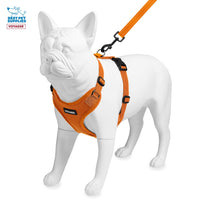 Voyager Step-in Lock Dog Harness w Reflective Dog Leash Combo Set with Neoprene Handle 5ft - Supports Small, Medium and Large Breed Puppies/Cats by Best Pet Supplies - Orange, XS