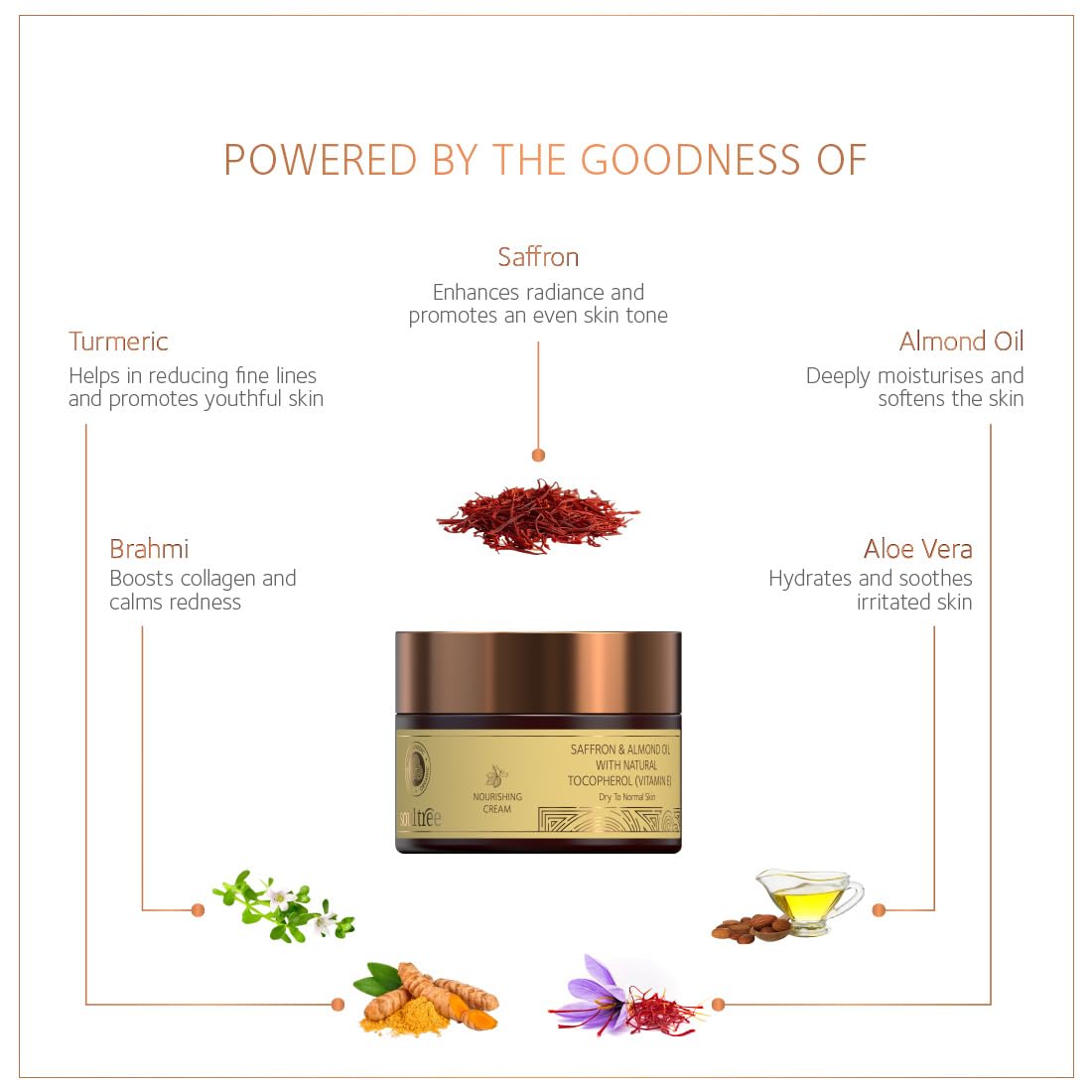 SoulTree Nourishing Cream - Saffron and Almond Oil with Natural Vitamin-E, for Dry To Normal Skin - 25gm