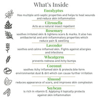 Softsens Baby Natural Mosquito Repellent Combo, 8 Hour Protection, DEET-Free, Spray 100ml, Fabric Roll-On - 8ml and After Bite Recovery 40ml