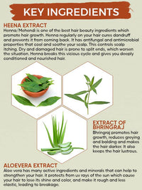 Oshea Herbals Heenashine Conditioning Shampoo | Controls Dryness & Makes Hair Stronger with Deep Cleansing | Enriched with Henna & Bhringraj 500 ml