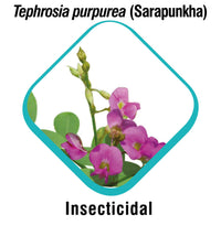 Himalaya Combo of Scavon Spray, 100 ml & Erina Ep Powder, 150g