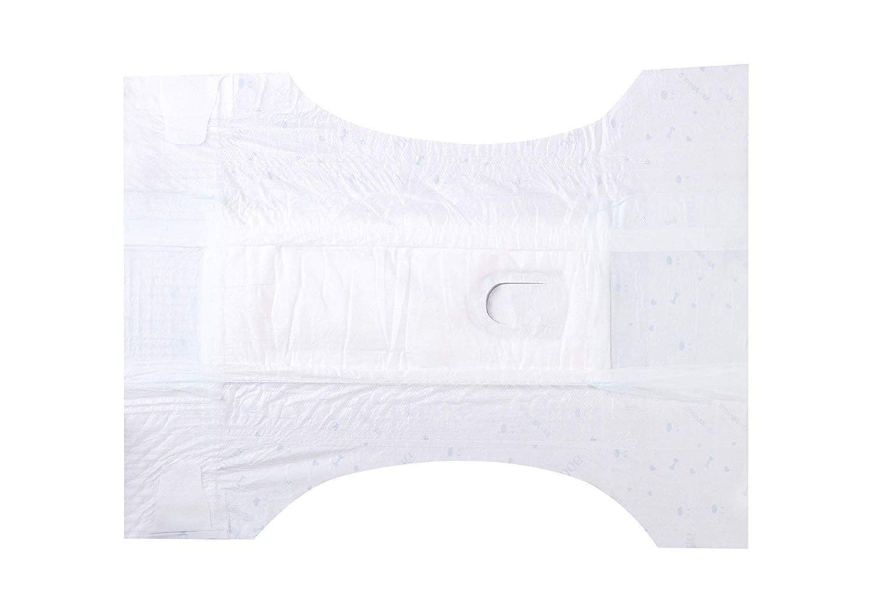 Honey Care All-Absorb Disposable Female Dog Diapers L Size, Improved Bigger Size, 22 Count, Super Absorbent, Breathable, Wetness Indicator, Packaging May Vary Large (Pack of 1)