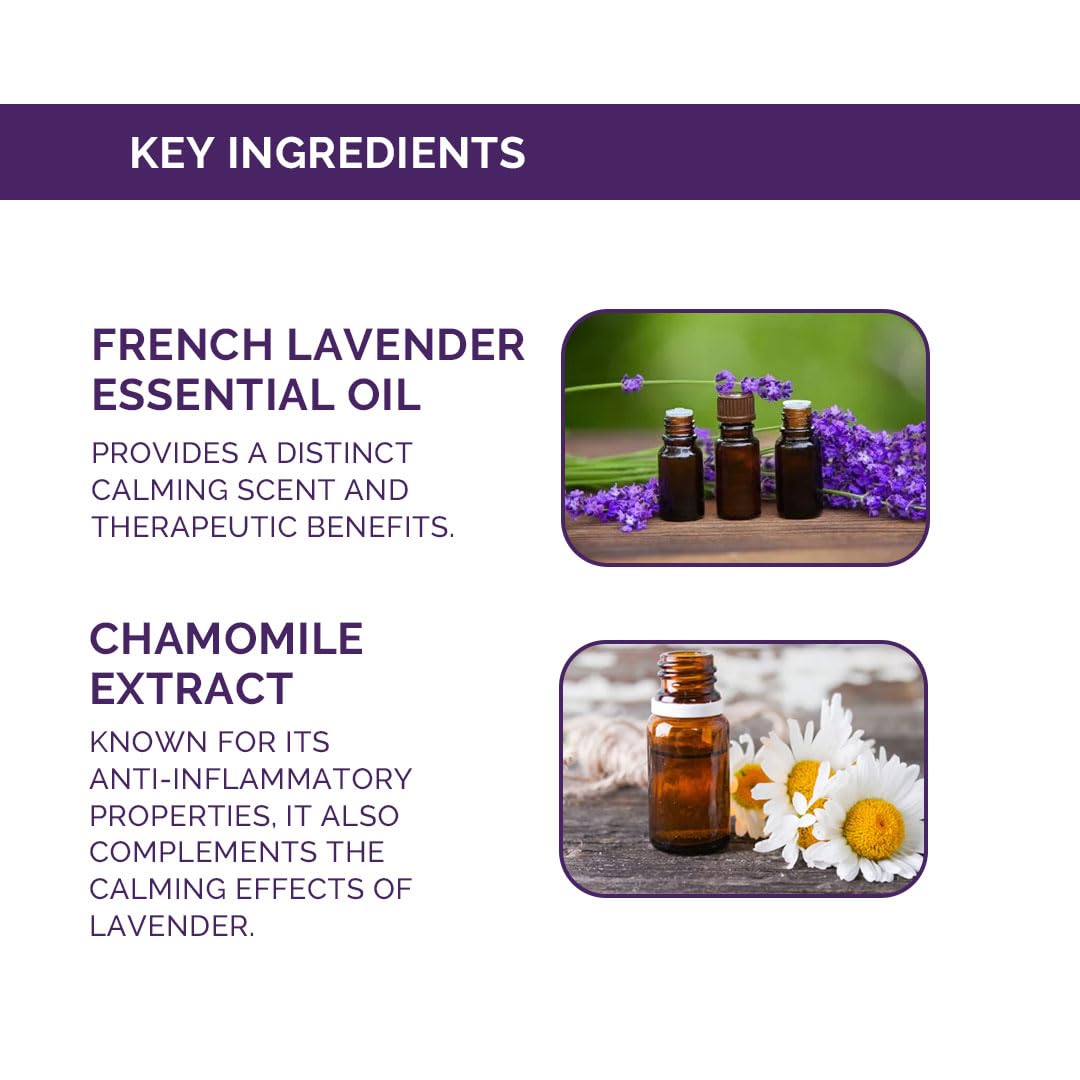 Otrix French Lavender Body Wash, 290ml – Calming Shower Gel with Natural Ingredients – Aromatherapy Formula for Relaxation and Hydration – Sulfate and Paraben Free