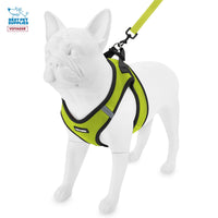 Voyager Step-in Air All Weather Mesh Harness and Reflective Dog 5 ft Leash Combo with Neoprene Handle, for Small, Medium and Large Breed Puppies by Best Pet Supplies - Lime/Black Trim, Large Harness Leash Bundle (Lime/Black Trim) L (Chest: 18 - 20.5