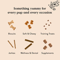 Bocce's  Bakery Hip & Joint Supplement for Dogs, Daily Chews Made in The USA with Glucosamine, MSM, and Chondroitin, Supports Healthy Joints, Peanut Butter & Honey, 60 ct