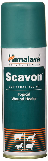 Himalaya Combo of Scavon Spray, 100 ml & Erina Ep Powder, 150g