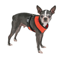 Puppia Soft Dog Harness No Choke Over-The-Head Triple Layered Breathable Mesh Adjustable Chest Belt and Quick-Release Buckle, Orange, XX-Large