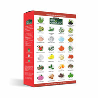 INDUS VALLEY Organic Hibiscus Powder | Hibiscus rosa-sinensis for Hair & Skin - (100g*2=200g)