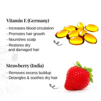 Bare Anatomy Junior Gentle Cleansing Shampoo For Kids from 5-12 Years | Tear-Free & Hypoallergenic pH 5.5 | Coconut Milk Protein, Almond Oil, Vitamin E & Strawberry | SLS & Paraben Free | Vegan -250ml