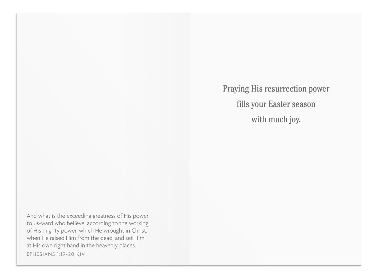 DaySpring - Resurrection of Jesus Easter - King James Version - 4 Design Assortment with Scripture - 12 Boxed Easter Cards & Envelopes (J7580) 24 Count (Pack of 1)