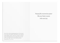 DaySpring - Resurrection of Jesus Easter - King James Version - 4 Design Assortment with Scripture - 12 Boxed Easter Cards & Envelopes (J7580) 24 Count (Pack of 1)
