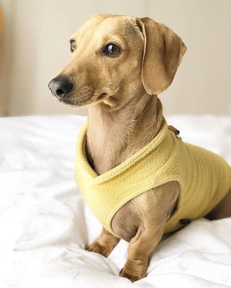 Gooby Fleece Vest Dog Sweater - Honey Mustard, Large - Warm Pullover Fleece Dog Jacket with O-Ring Leash - Winter Small Dog Sweater Coat - Cold Weather Dog Clothes for Small Dogs Boy or Girl