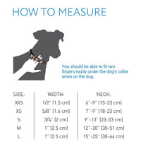 RC Pets 1 Inch Adjustable Dog Clip Collar, Medium, Shark Attack