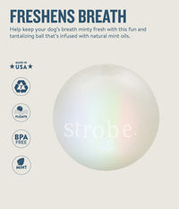 Planet Dog Orbee-Tuff Strobe Ball Glow-in-The-Dark Light Up LED Dog Toy