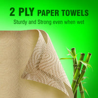 Beco Eco-Friendly Soft Facial Tissue & Kitchen Tissue Combo| Tissue Paper Box(100Pulls- Pack of 6) | Kitchen Tissue Roll (60Pulls-Pack of 4) | Super Absorbent, Unbleached, 100% Natural Chemical Free