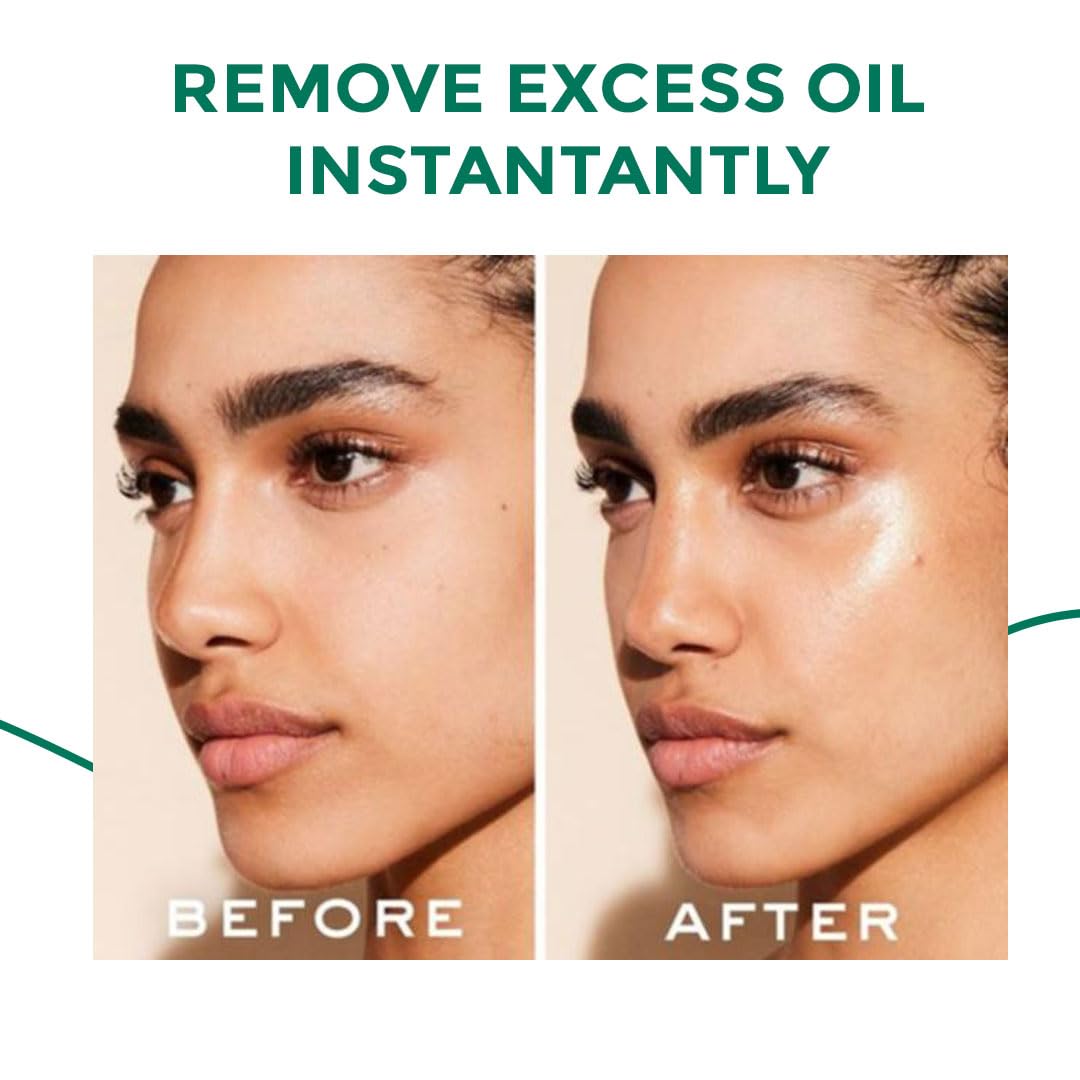 Moody Instamatte Mattifying Oil-Absorbing Volcanic Roller, Reusable Facial Skincare Tool Oil Control Roller for Oily Skin Care, Mattifying Face Roller