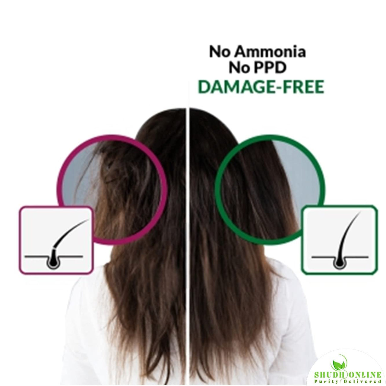 Shudh Online Indigo Powder Organic for Hair Black Colour (100 Grams), Natural Avuri Leaf Powder, Neela Amari, Neel Patti, Neelambari, Neelamari, Neelayamari, Indico. Powder