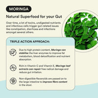 Bloom Moringa Antioxidant Effervescent Tablets | 20 Effervescent Tablets (Pack of 1) | Natural Liver Detox and Gut Health | Infused with Organic Moringa Leaf Powder | Lemon Flavour