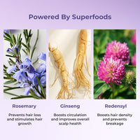 Naturali Anti-Hairfall Scalp Serum With Rosemary, Ginseng & Redensyl | Boosts Hair Growth | Strengthen Hair Follicles | Paraben-free | Best Anti-Hairfall Serum | 30ml