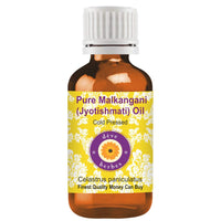 Deve Herbes Pure Malkangani (Malkangani/Jyotishmati) Oil (Celastrus paniculatus) Natural Therapeutic Grade Cold Pressed 100ml