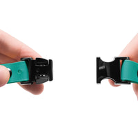 Educator Quick Snap Bungee Dog Collar, Biothane, Waterproof, Odorproof, Easy Connect and Disconnect Clasp and D Ring with Comfort Bungee Loop, Adjustable for Custom Fit, 3/4-Inch, Teal 3/4