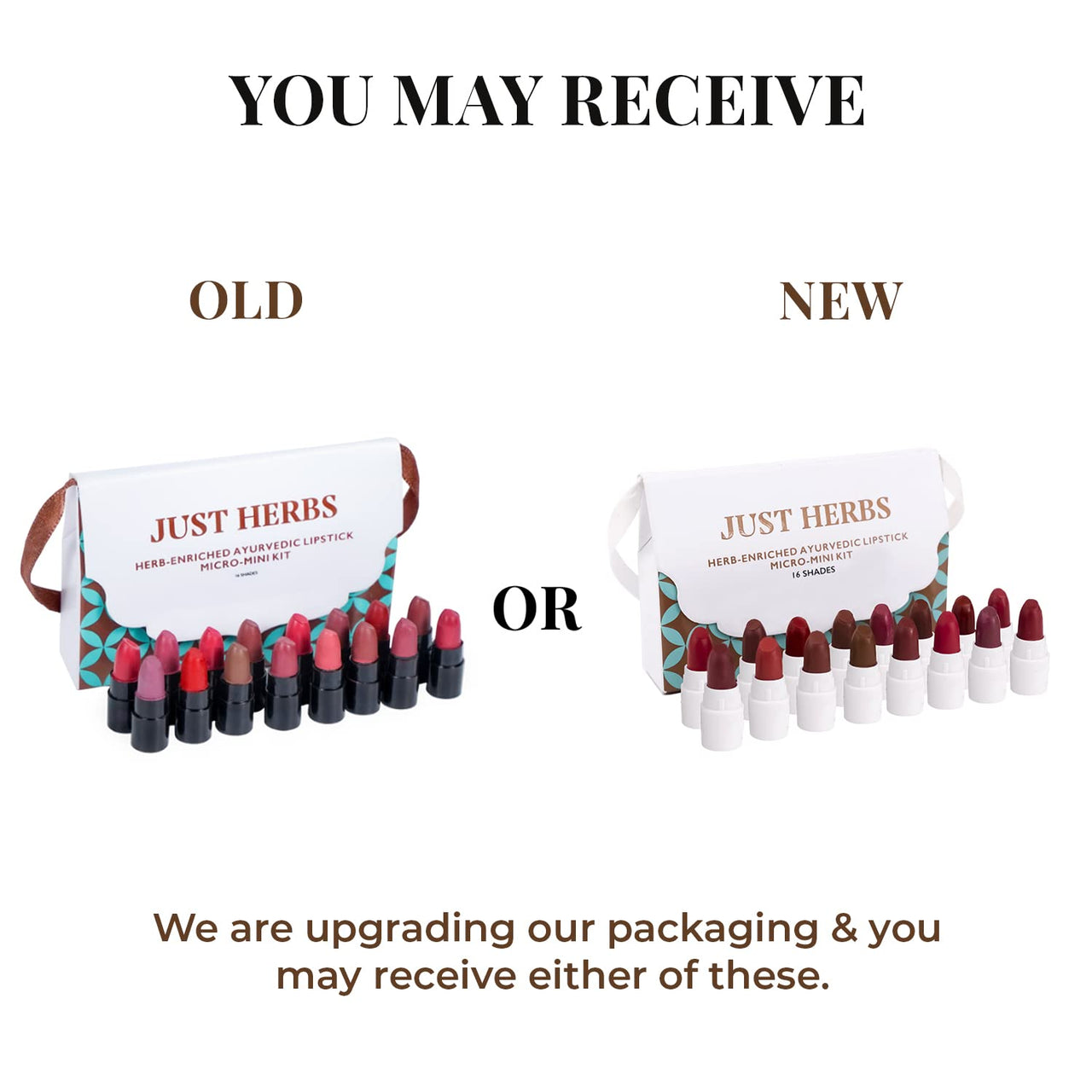 Just Herbs Full Coverage Concealer For All Skin Types For Face Makeup 6Ml (Natural) & Ayurvedic Creamy Matte Lipstick Set Lip(Pack Of 16) Combo, 3 Count