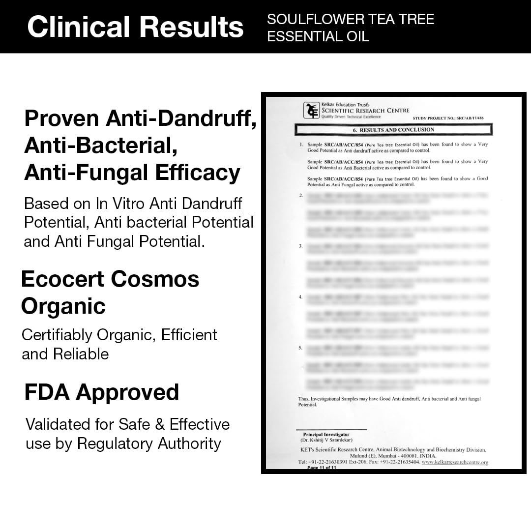 Soulflower Tea Tree Essential Oil for Skin, Hair, Face, Acne Care, Dandruff | Ecocert Certified Organic 100% Pure, Natural, Undiluted Therapeutic Grade | 15ml -