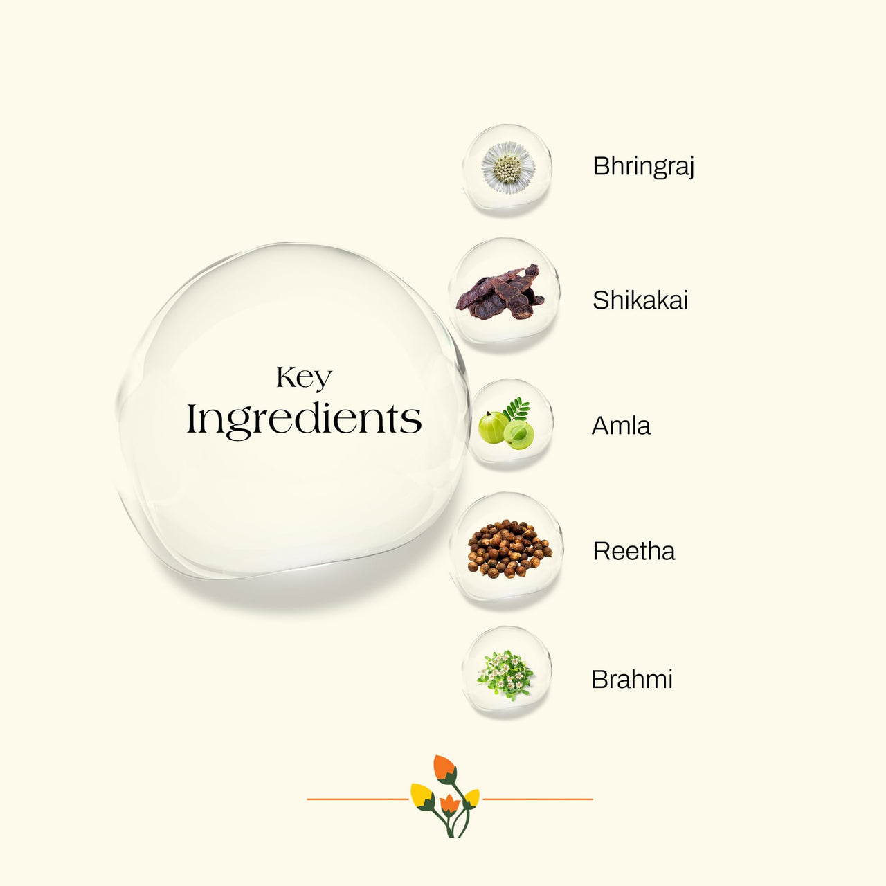 Ashpveda Bhringraj and Shikakai Anti Hair Fall Hair Wash Shampoo - Sulphate and Paraben Free Natural and Ayurvedic Shampoo (200ml)