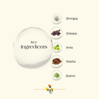 Ashpveda Bhringraj and Shikakai Anti Hair Fall Hair Wash Shampoo - Sulphate and Paraben Free Natural and Ayurvedic Shampoo (200ml)