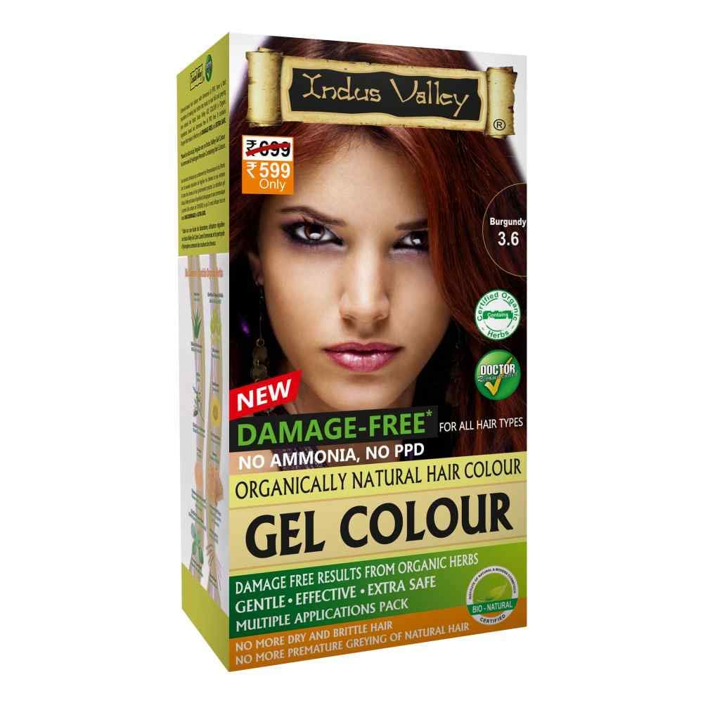 INDUS VALLEY Ammonia Free Natural Semi-Permanent Gel Hair Colour Burgundy 3.6 for Men & Women with 100% Grey Coverage & Long Lasting -220GM (pack of 3)