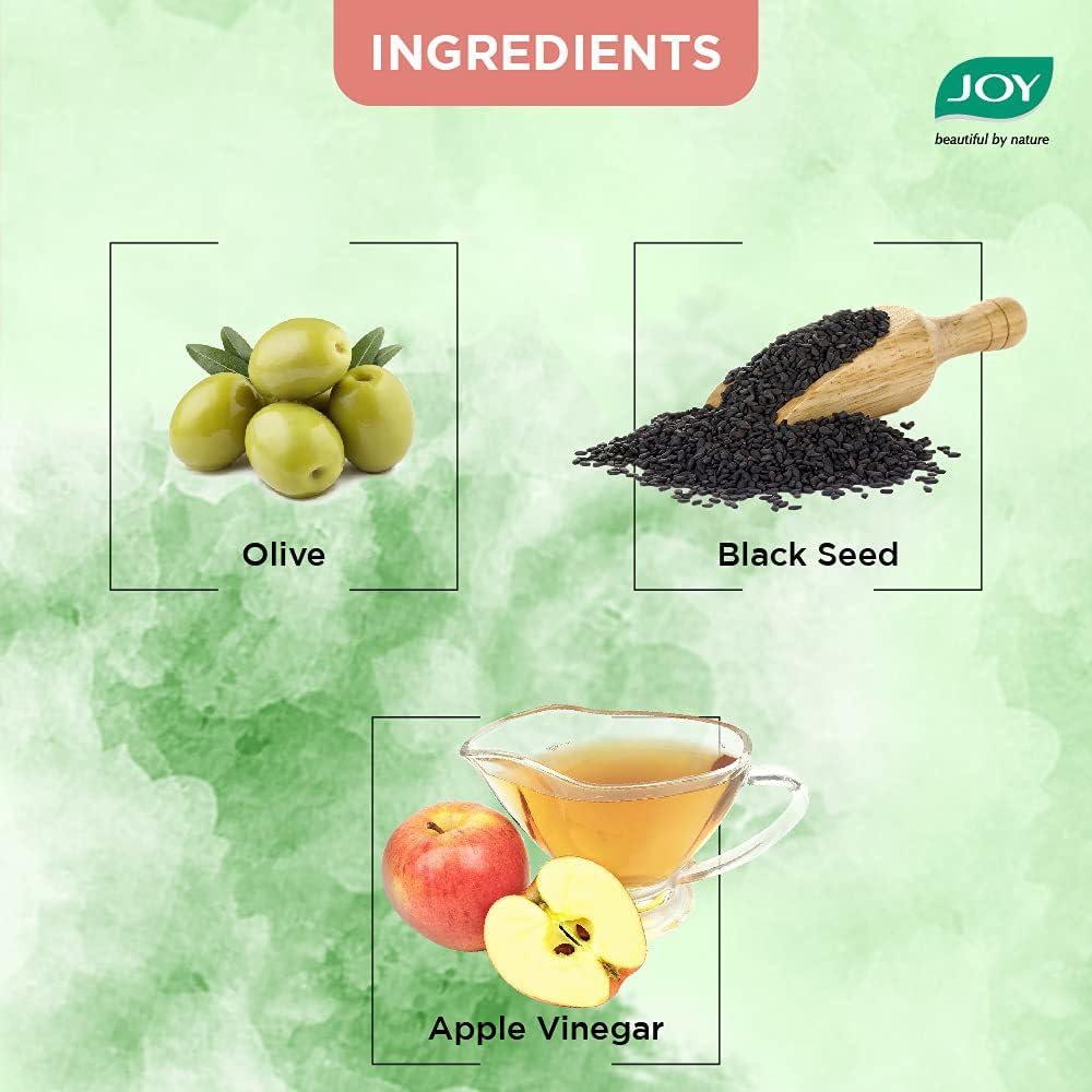 Joy Natural Actives Deep Nourishing & Black Shine 4 in 1 Multi Action Conditioning Shampoo for Dull Hair | With Apple Cider Vinegar, Amla, Back Seed & Olive Oil |(Pack of 2 X 340ml)